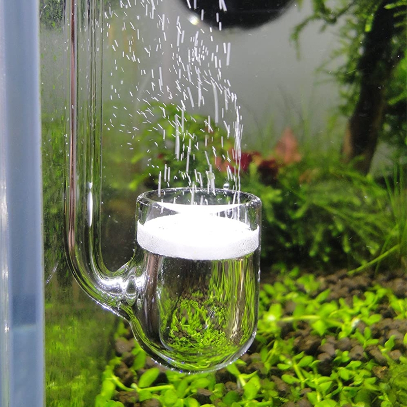 Planted Aquarium Parameters - D0AD Diffuseur CO2 en verre pour