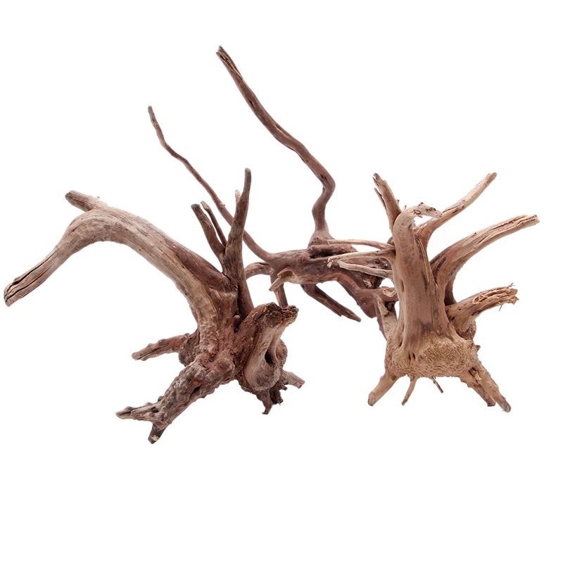Planted Aquarium With Driftwood - Décoration d'aquarium en bois naturel, tronc