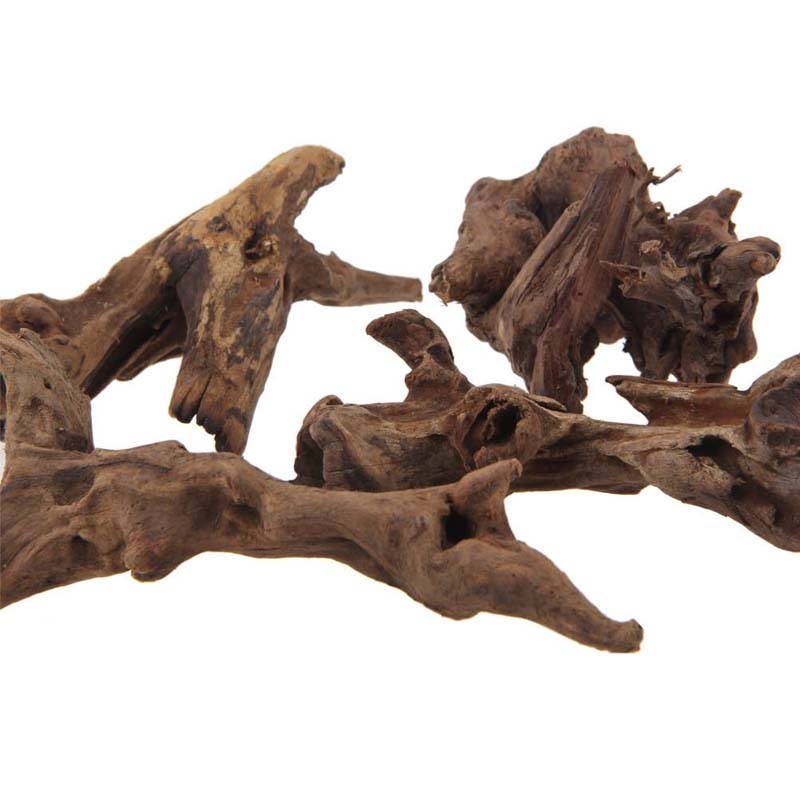 Planted Aquarium With Driftwood - Bois naturel pour aquarium, 1 pièce,
