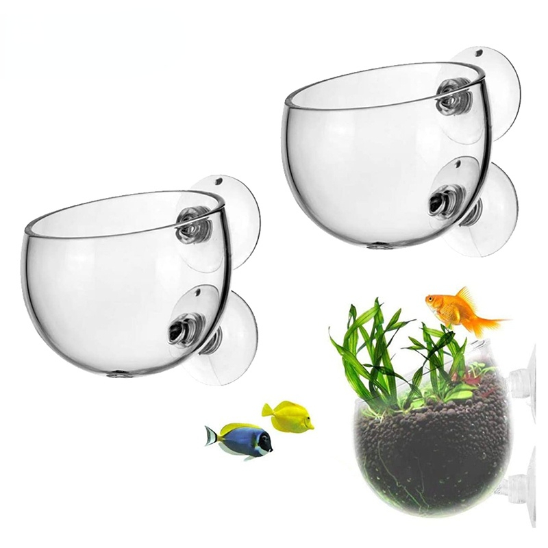 Aquarium Planted Seeds - Pot de plantes d'aquarium, tasse cylindrique