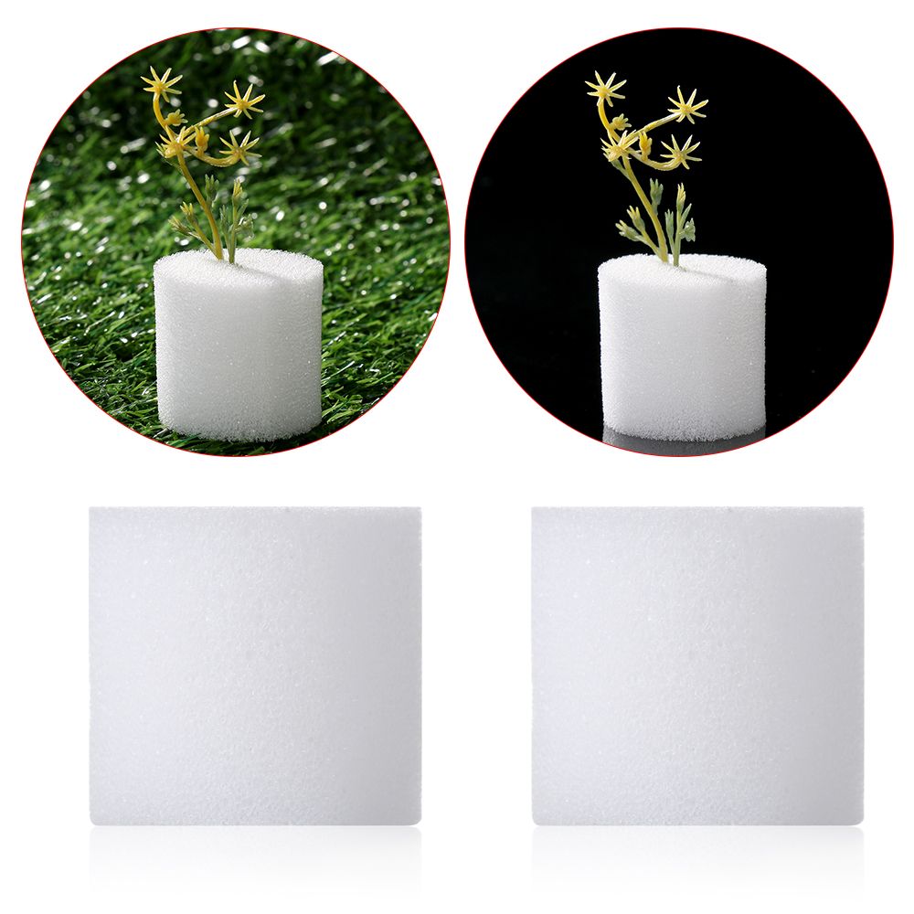 Aquarium Planted Seeds - 10/50pcs Durable Fournitures De Jardin Aquarium