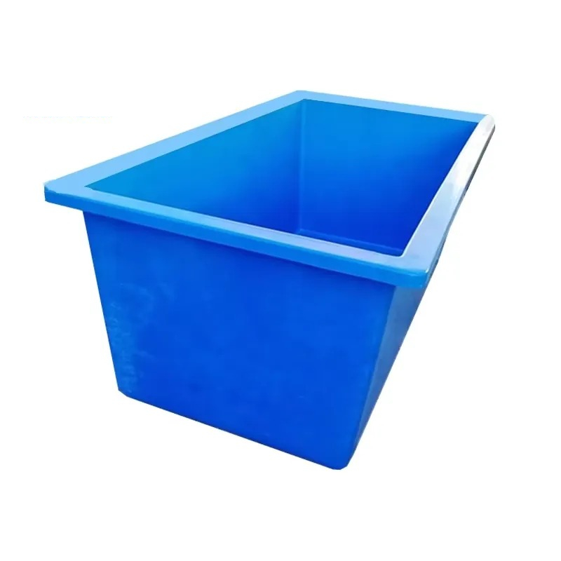 Aquarium Planted Seeds - Plantes vivantes pour aquarium, rondes et