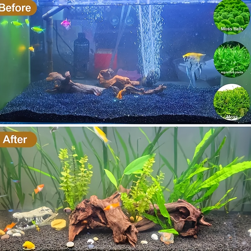 Planted Aquarium With Driftwood - 1 pièce de bois flottant naturel