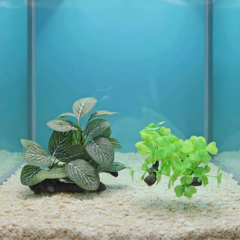 Plante artificielle en bois fl - Planted Aquarium With Driftwood avis et prix