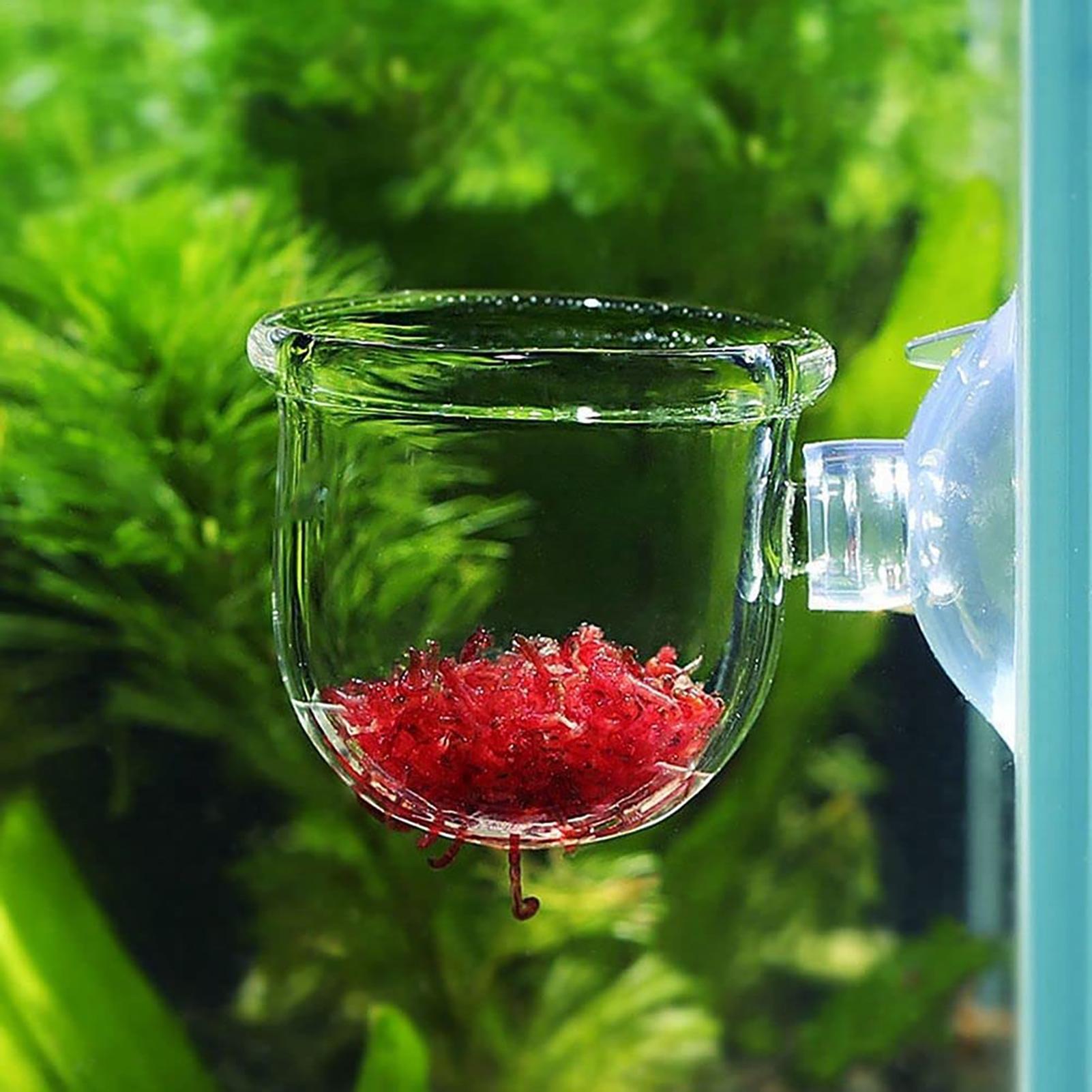 Pot de plantes d'aquarium, tas - Aquarium Planted Seeds avis et prix