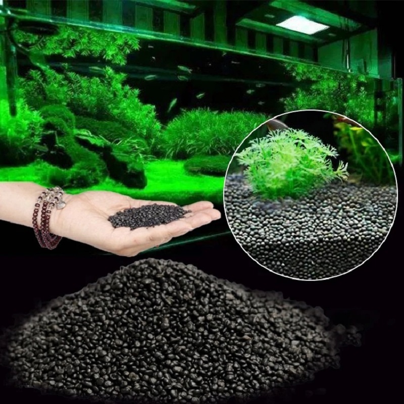 Réservoir de poissons eau herb - Aquarium Planted Seeds avis et prix