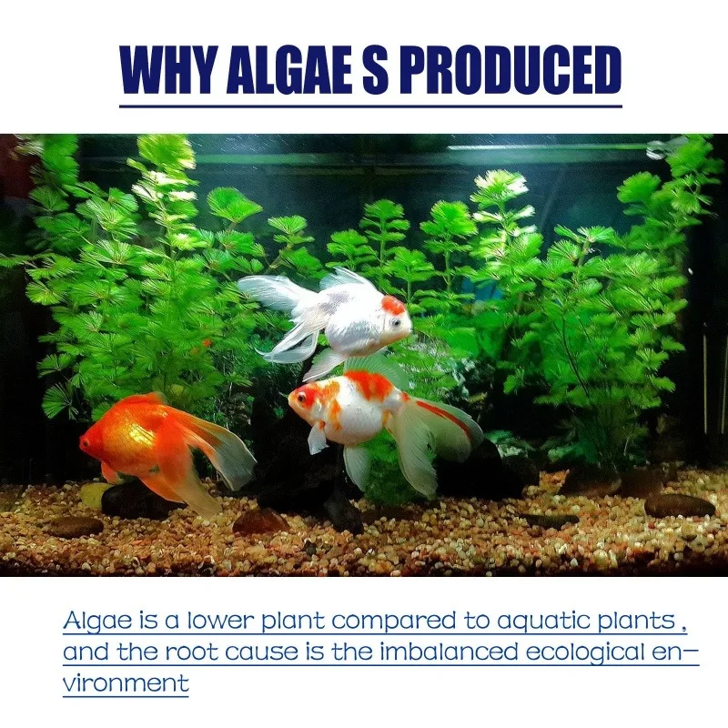 Algicide haute efficacité 50g  - Planted Aquarium Equipment avis et prix