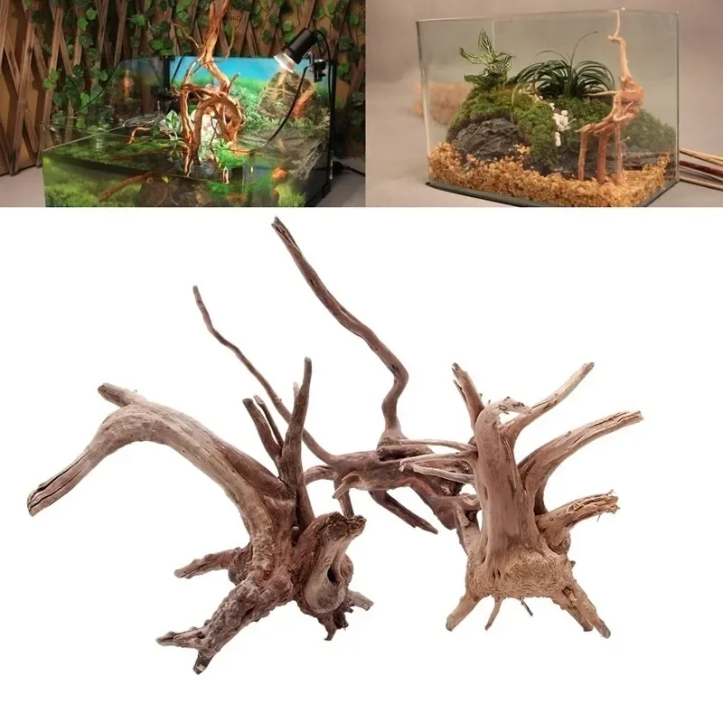 Tronc d'Arbre Naturel en Bois  - Planted Aquarium With Driftwood avis et prix