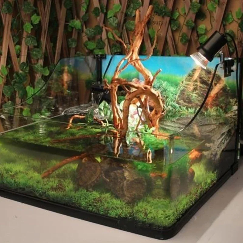 Tronc d'Arbre Naturel en Bois  - Planted Aquarium With Driftwood avis et prix