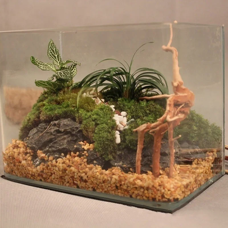 Tronc d'Arbre Naturel en Bois  - Planted Aquarium With Driftwood avis et prix