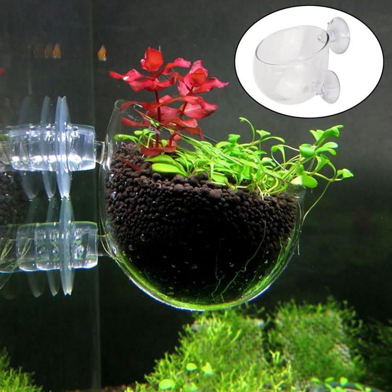 Pot de plantes d'aquarium, tas - Aquarium Planted Seeds avis et prix