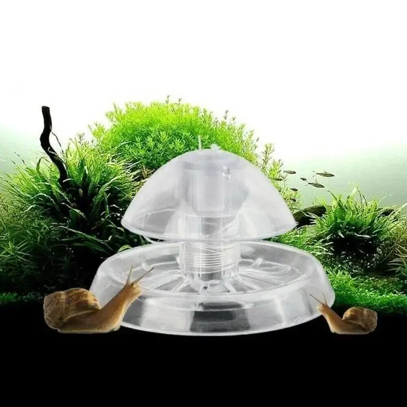 Nouvelle boîte piège à escargo - Planted Aquarium Equipment avis et prix