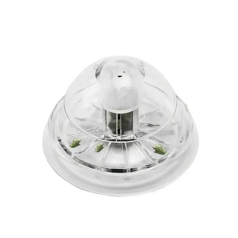 Nouvelle boîte piège à escargo - Planted Aquarium Equipment avis et prix