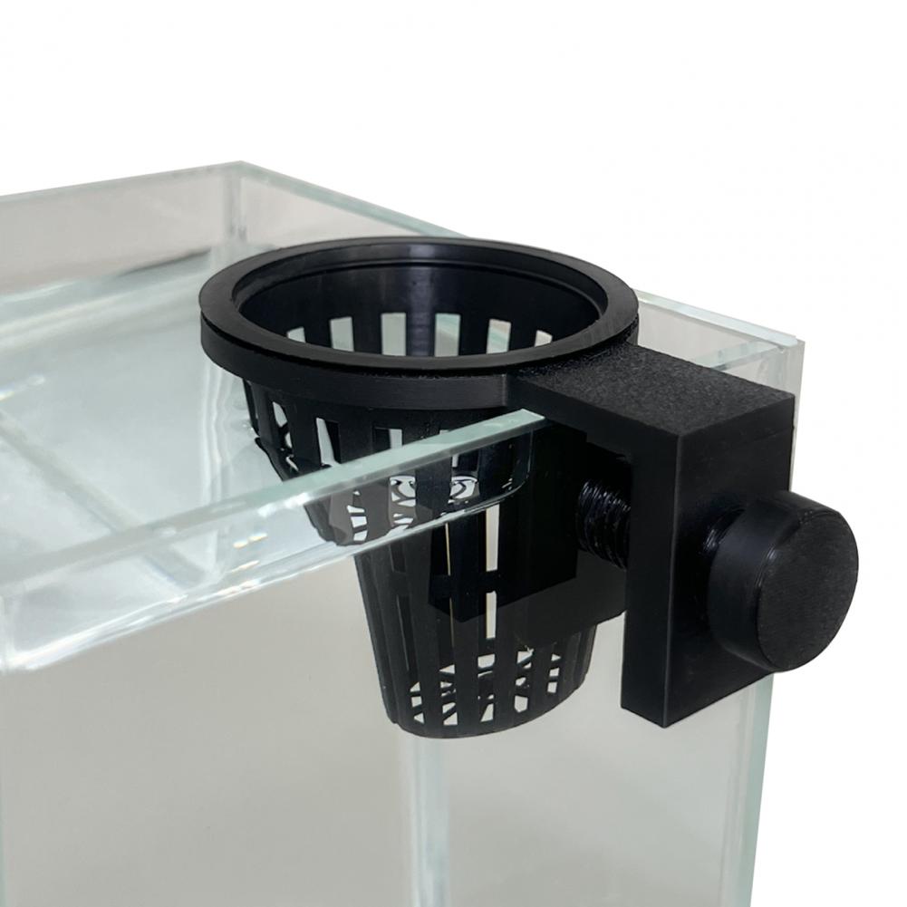 Support pour plantes aquatique - Planted Aquarium Anubias avis et prix