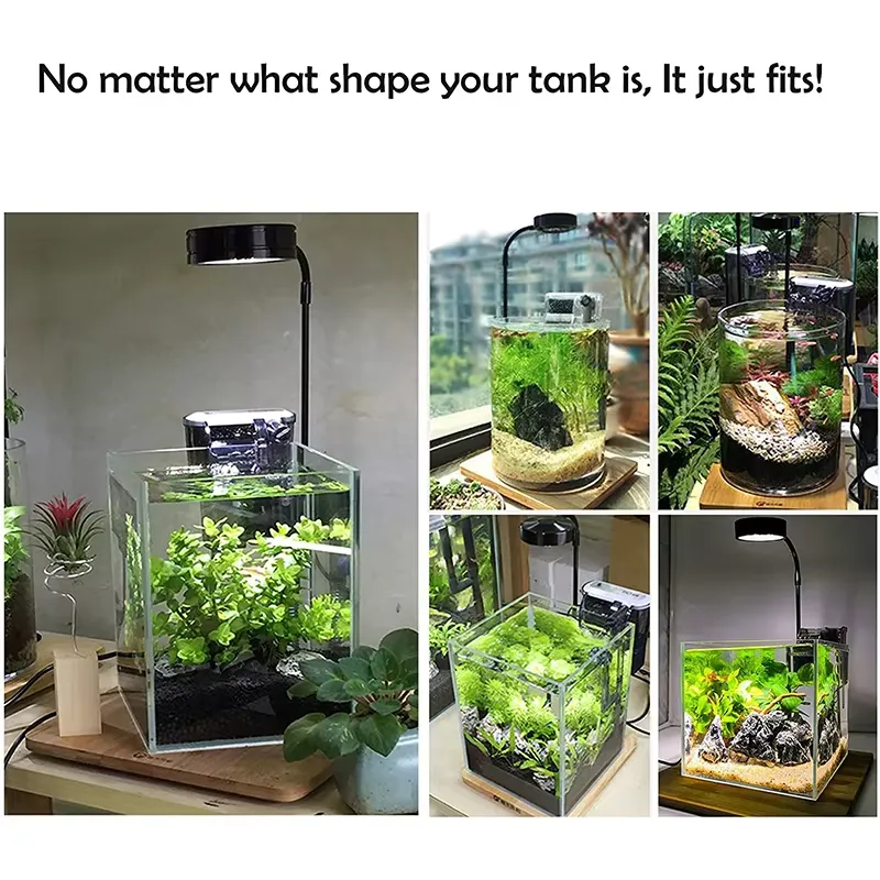 Lumière LED à spectre complet  - Aquarium Plant Light Spectrum avis et prix