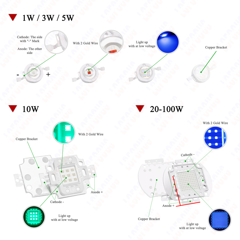 1W 3W 5W 10W 20W 30W 50W 100W  - Aquarium Planted Seeds avis et prix