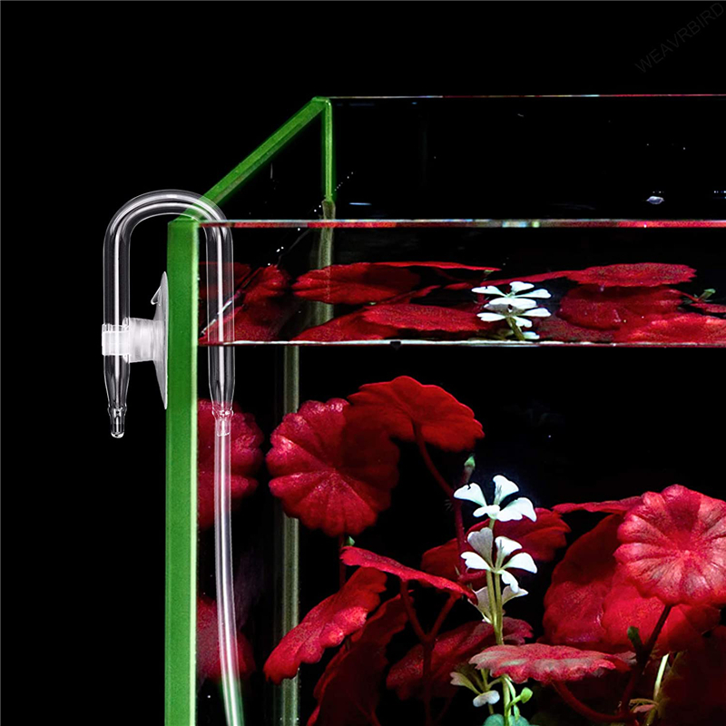 Connecteur de tuyau d'air en f - Planted Aquarium Accessories avis et prix