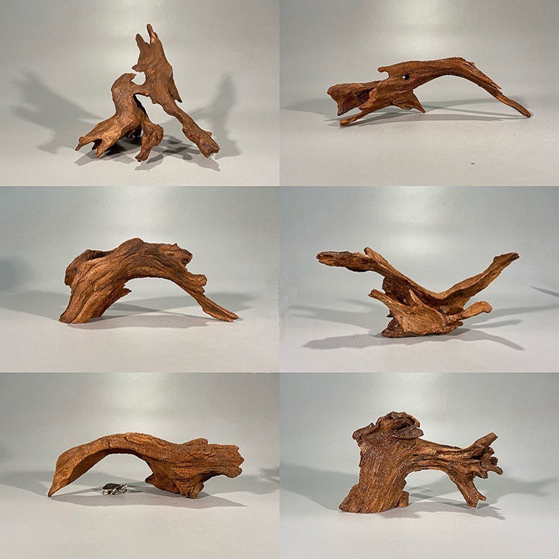 Décoration en forme d'arbre de - Planted Aquarium With Driftwood avis et prix