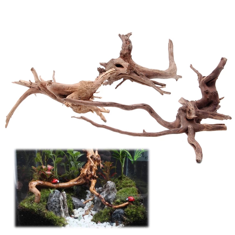 Décoration d'aquarium en bois  - Planted Aquarium With Driftwood avis et prix