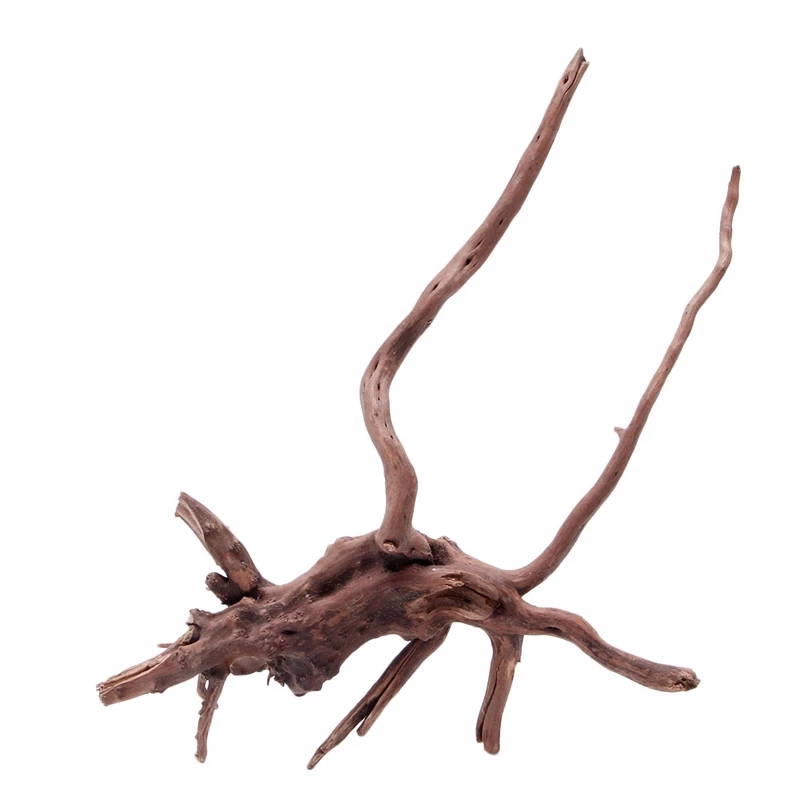 Décoration d'aquarium en bois  - Planted Aquarium With Driftwood avis et prix