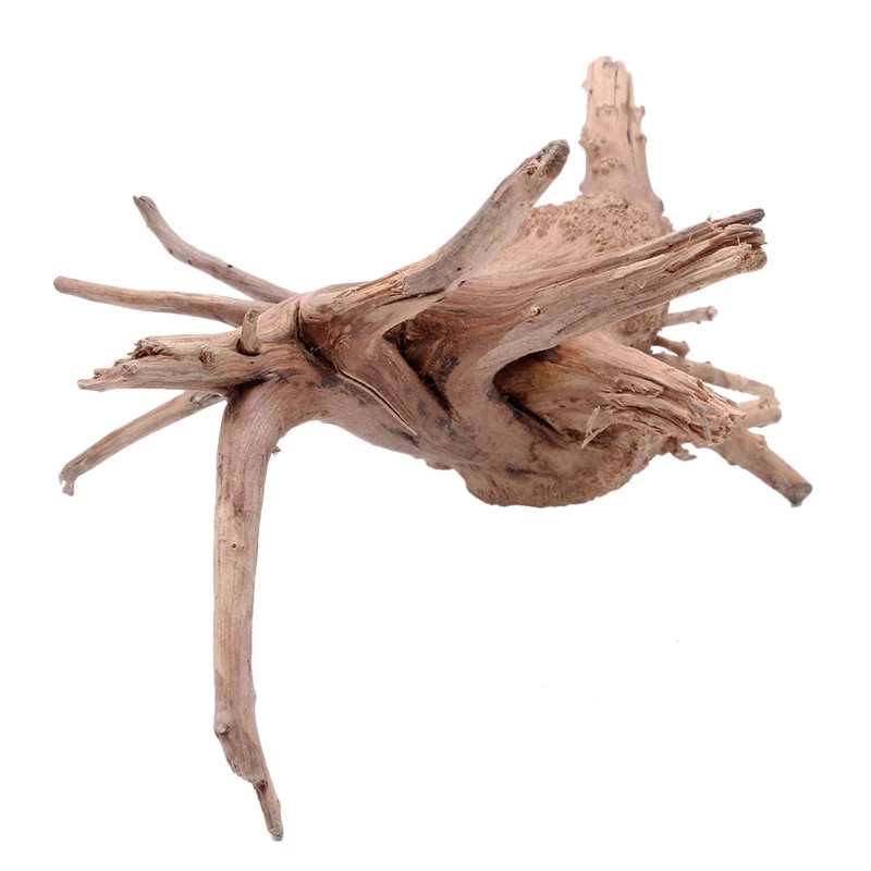 Décoration d'aquarium en bois  - Planted Aquarium With Driftwood avis et prix