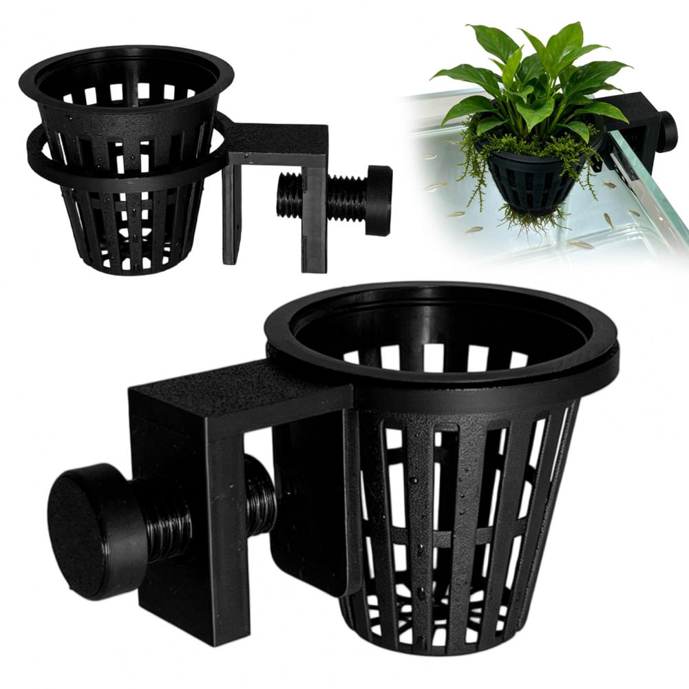 Support de plante pour aquariu - Planted Aquarium Anubias avis et prix