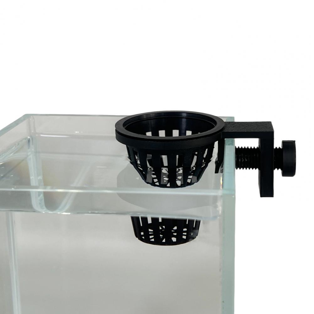 Support de plante pour aquariu - Planted Aquarium Anubias avis et prix