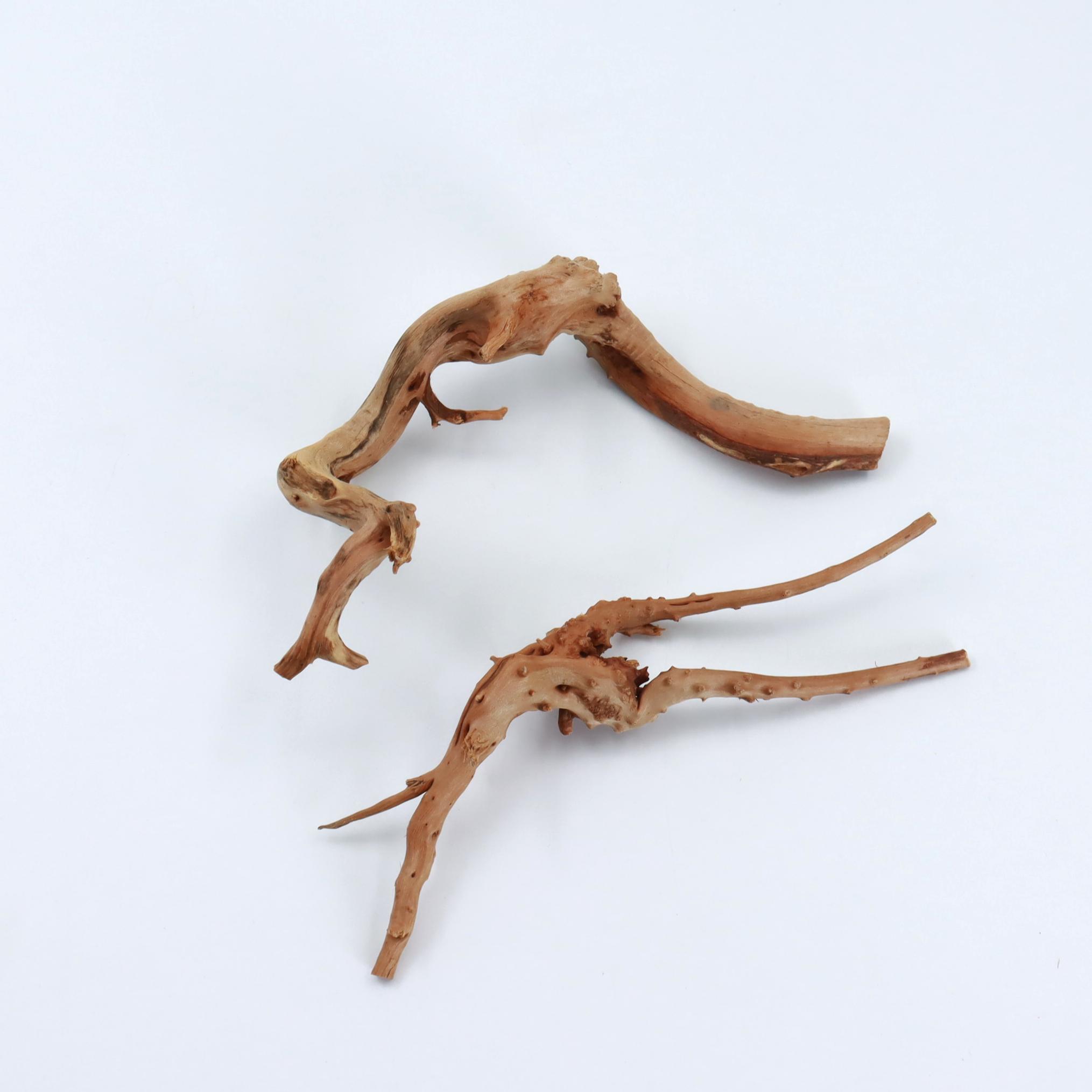 2 pièces de bois flotté nature - Planted Aquarium With Driftwood avis et prix
