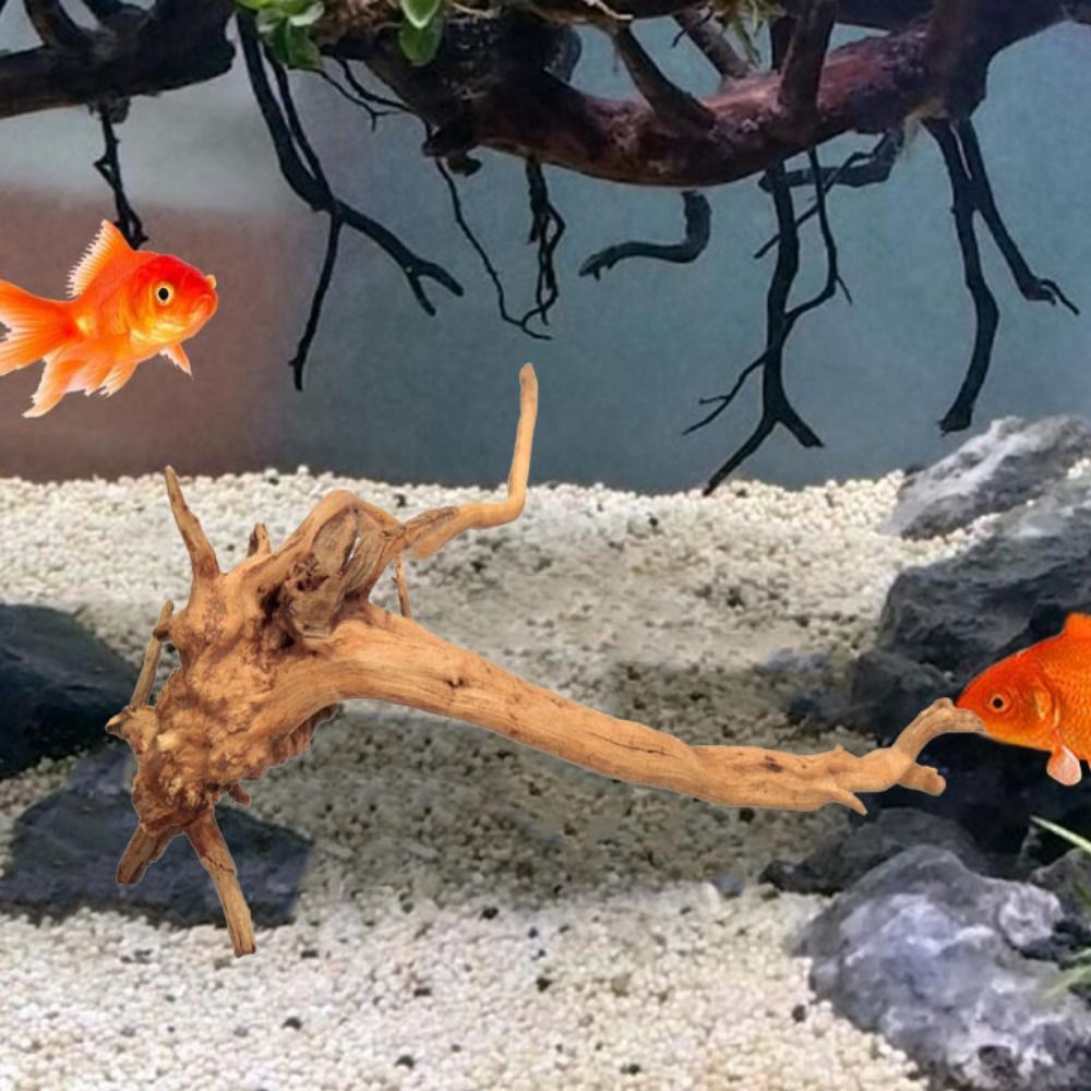Bois flotté naturel de 20-25 c - Planted Aquarium With Driftwood avis et prix