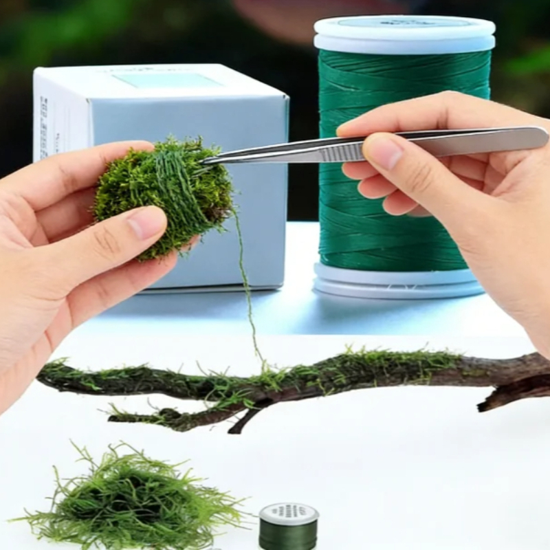 Fil de mousse biodégradable po - Planted Aquarium With Driftwood avis et prix