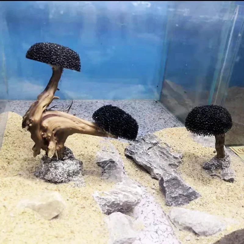 Décoration d'aquarium : Plante - Planted Aquarium With Driftwood avis et prix