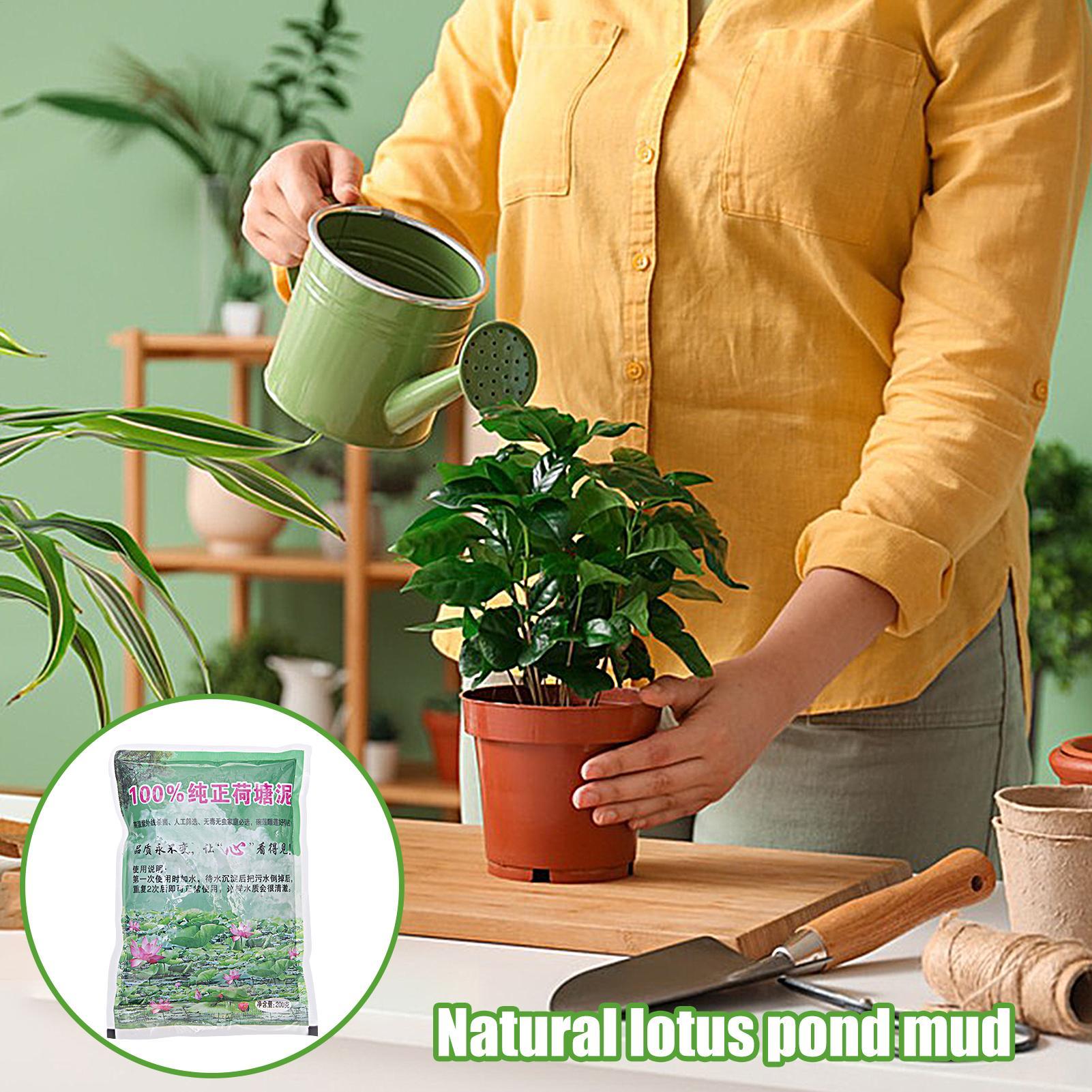 Sable nutritif naturel pour aq - Aquarium Planted Seeds avis et prix