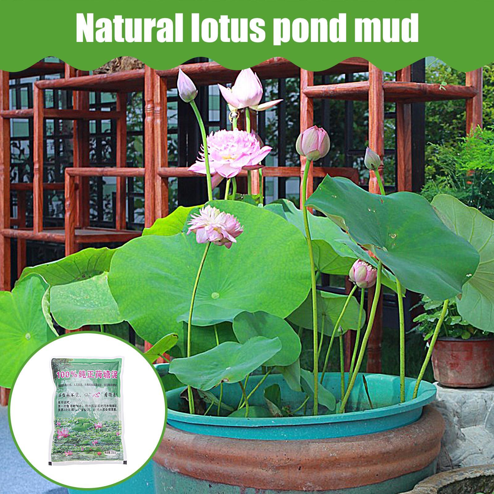 Sable nutritif naturel pour aq - Aquarium Planted Seeds avis et prix