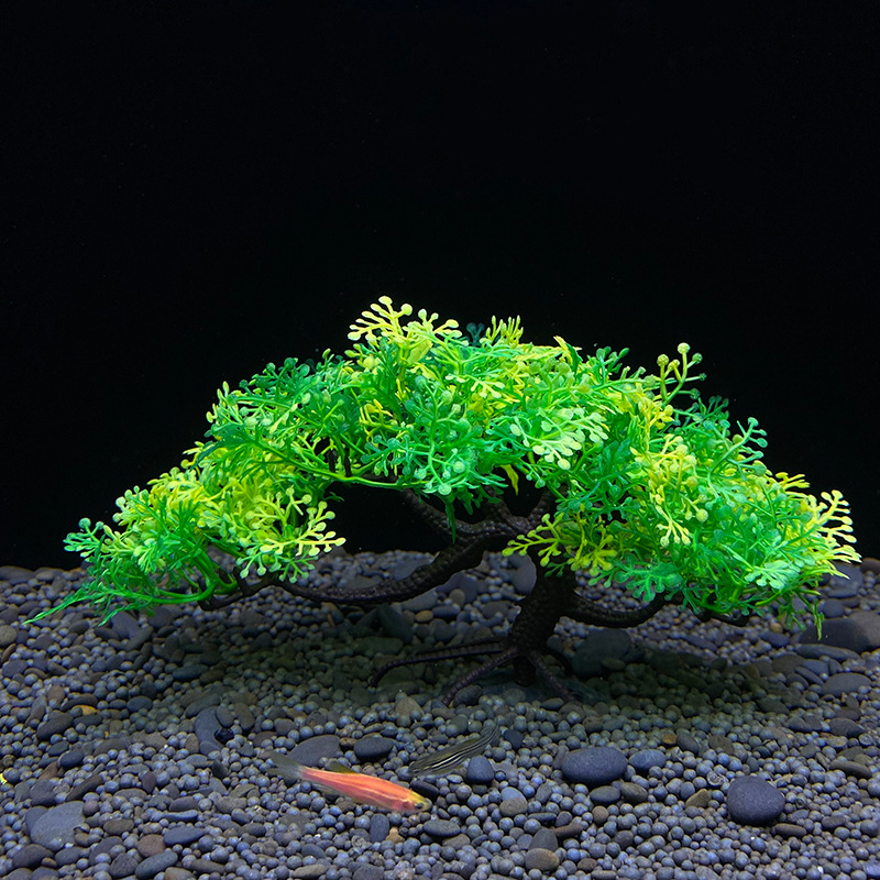 Bonsaï d'aquarium, plante, déc - Aquarium Planted Seeds avis et prix