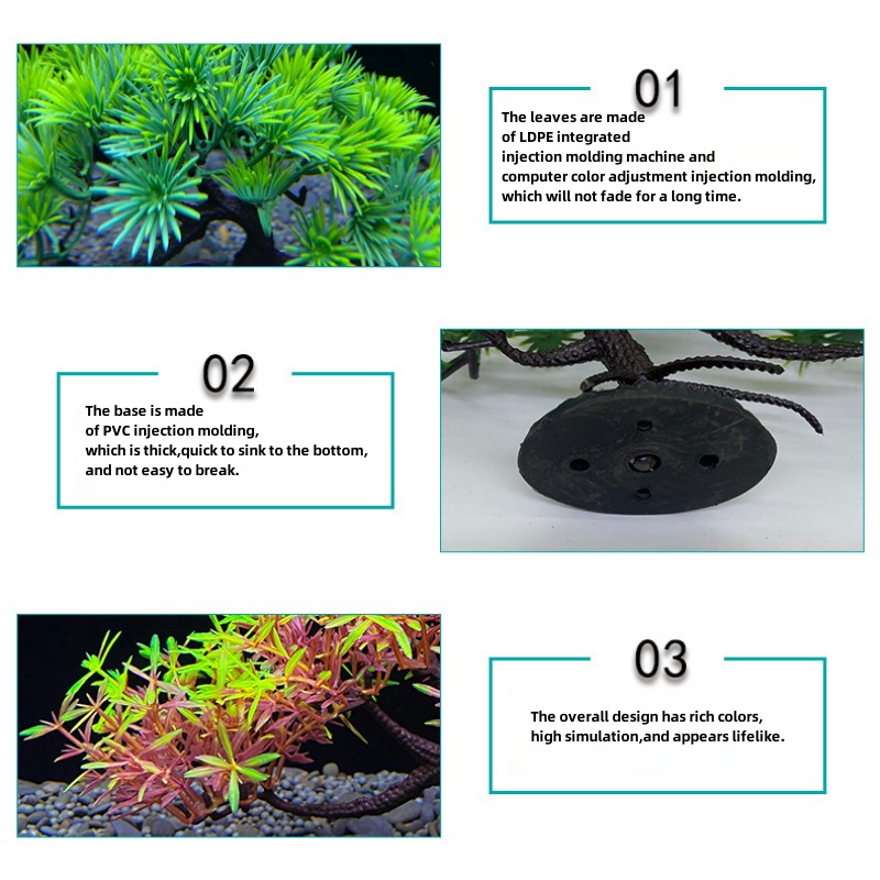 Bonsaï d'aquarium, plante, déc - Aquarium Planted Seeds avis et prix