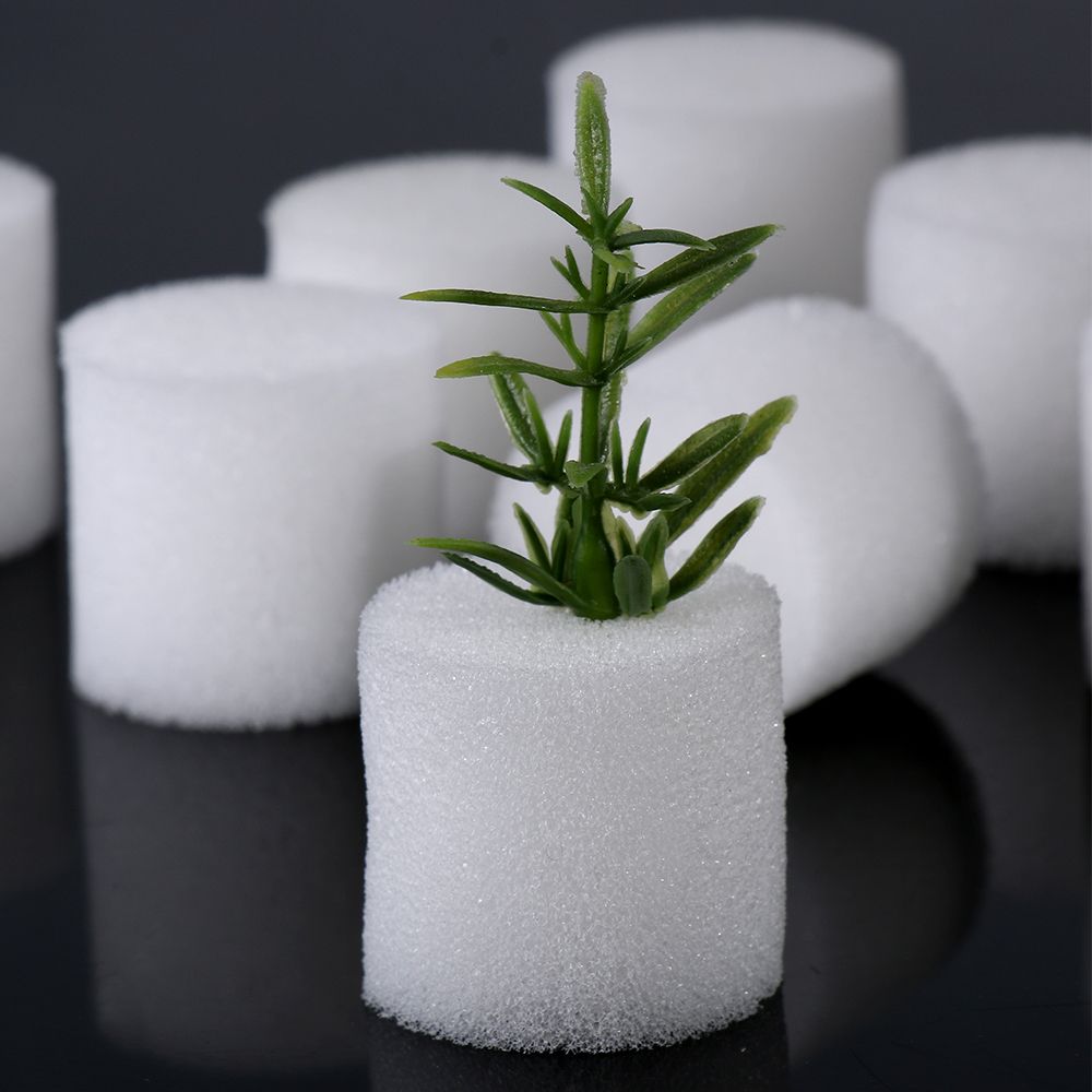 10/50pcs Durable Fournitures D - Aquarium Planted Seeds avis et prix