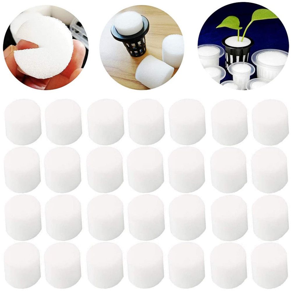 10/50pcs Durable Fournitures D - Aquarium Planted Seeds avis et prix