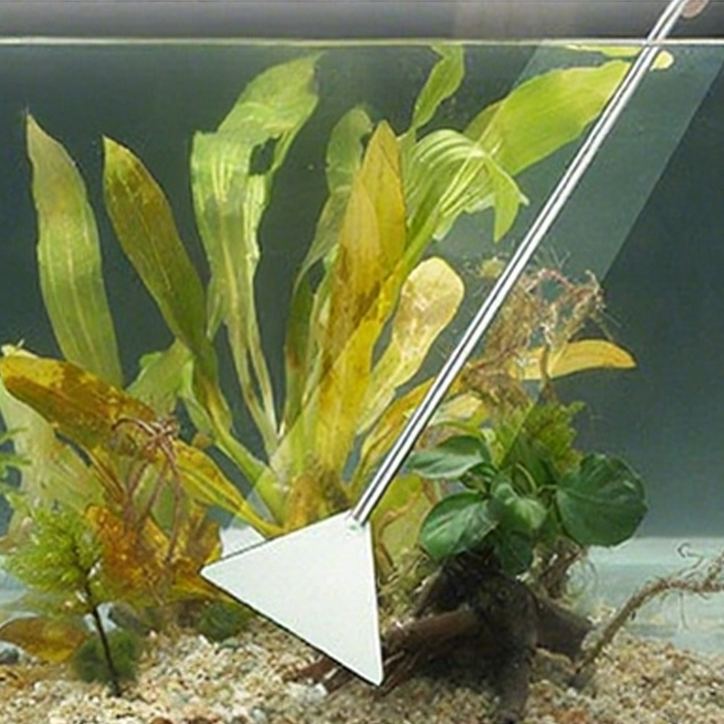 Ciseaux d'aquarium, pincettes, - Planted Aquarium Maintenance Kit avis et prix