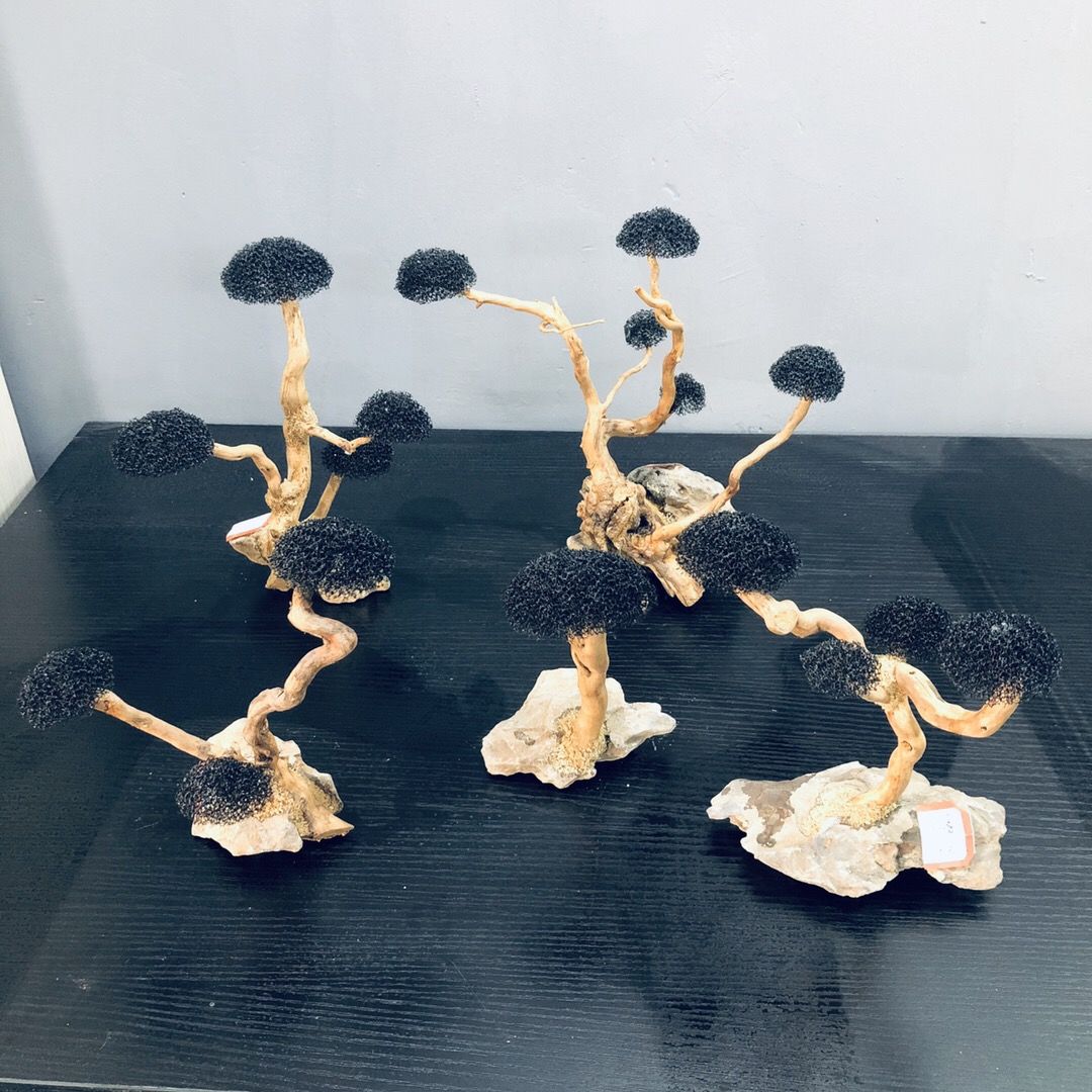 Décoration d'aquarium mousse b - Planted Aquarium With Driftwood avis et prix