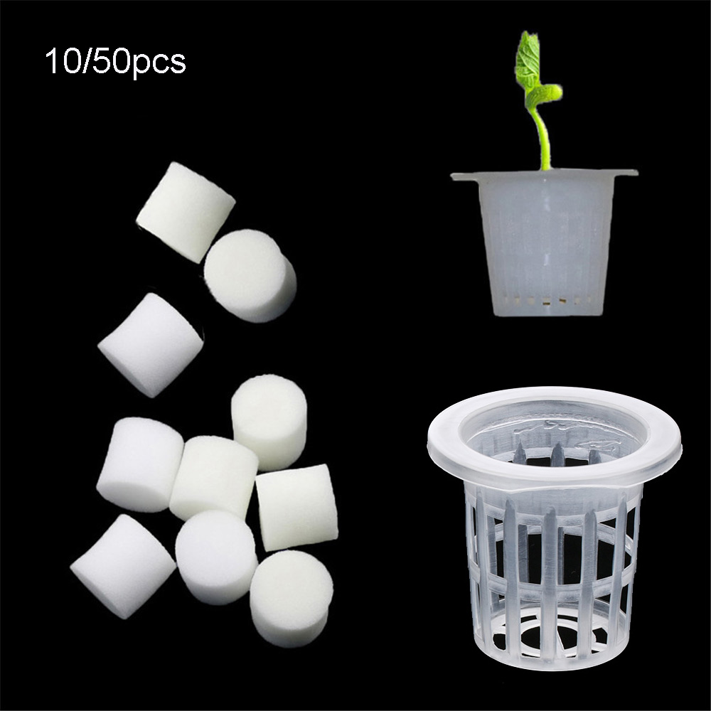 Plateaux de graines hydroponiq - Aquarium Planted Seeds avis et prix