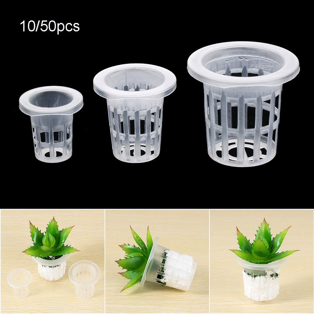 10/50pcs fournitures de jardin - Aquarium Planted Seeds avis et prix